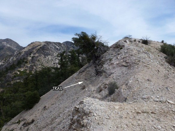Example of "somewhat sketchy" portion of Brown Mountain Use Trail.