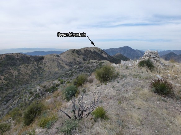View toward Brown Mountain from the top of the steepest part of the trail.