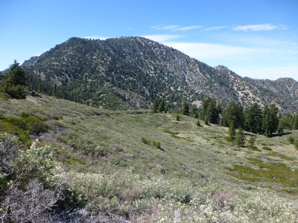 View from the Pacific Crest Trail close to the trailhead as Islip Saddle toward Mt. Williamson.