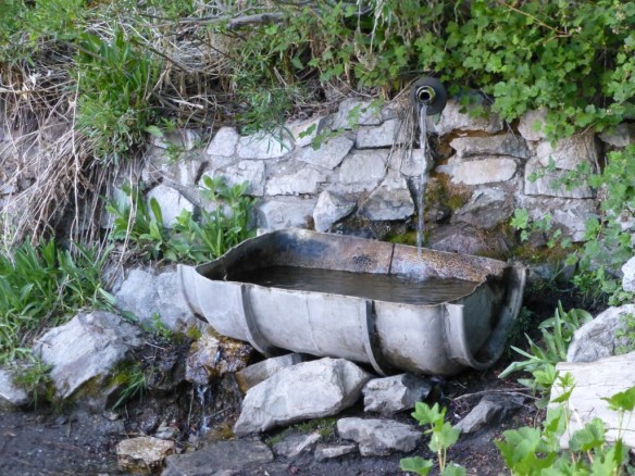 There's easy access to water at Little Jimmy Springs and the water is still flowing nicely.