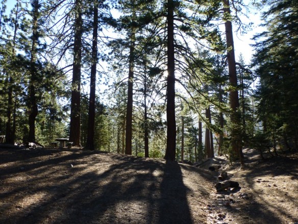 Early morning at Little Jimmy Trail Camp