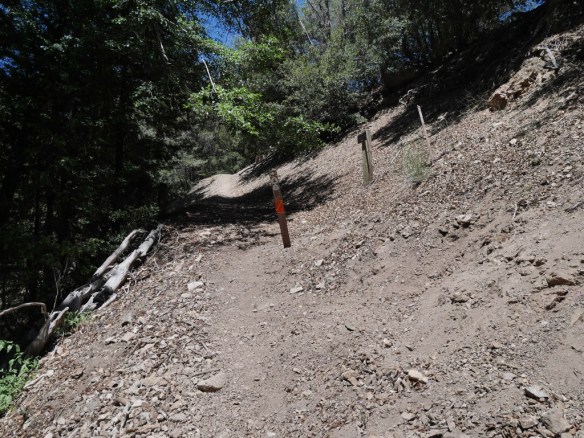 JCT Rattlesnake Trail and Burkhart Trail as seen heading toward Burkhart Saddle.