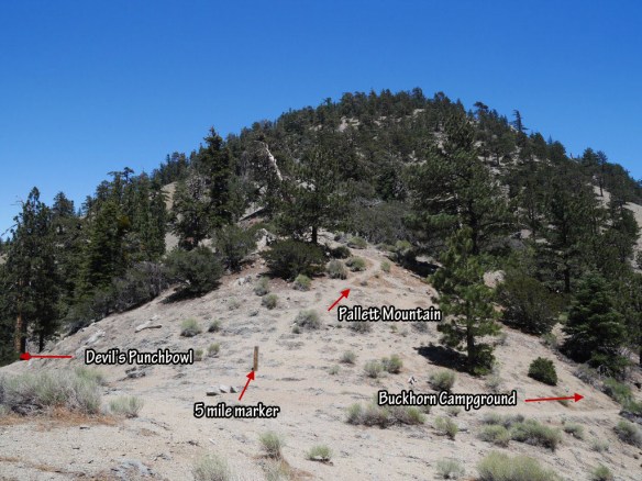 Intersection of Pleasant View Ridge Trail and Burkhart Trail.