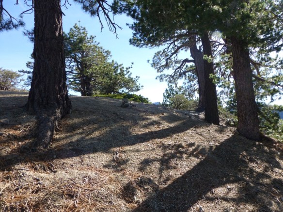 View toward JCT of Pleasant View Ridge Trail from the PCT starting from Angeles Crest HWY.