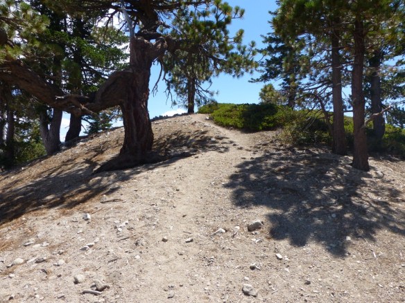 View at T-intersection looking east (right) toward Mt. Williamson.