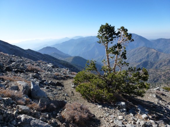North Backbone Trail coming down from Mt. Baldy, October 2011