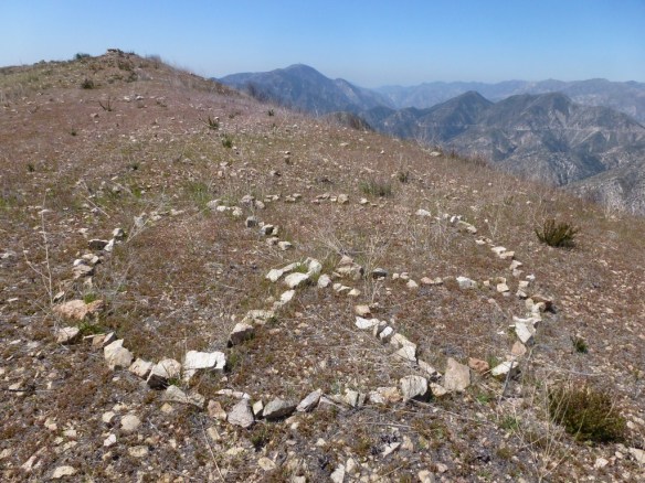 "Use trail" leading to Brown Mountain.