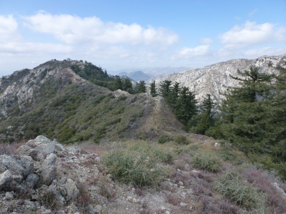 View from the "use trail" following the ridge from Inspiration Point looking toward Inspiration Peak (Unofficial Name), February 2012.