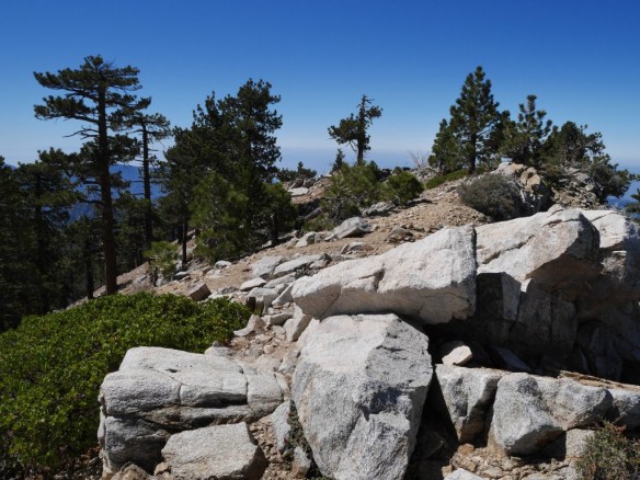 Middle Mt. Hawkins, June 2014.