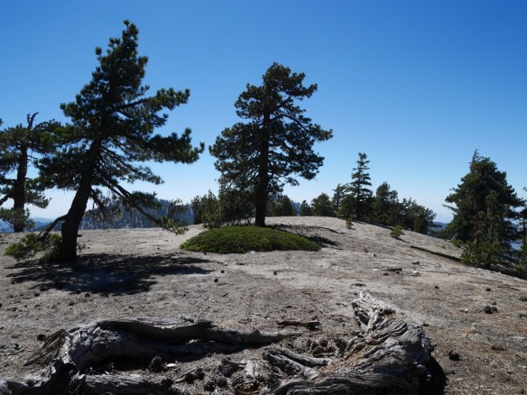 Pallett Mountain, June 2014.