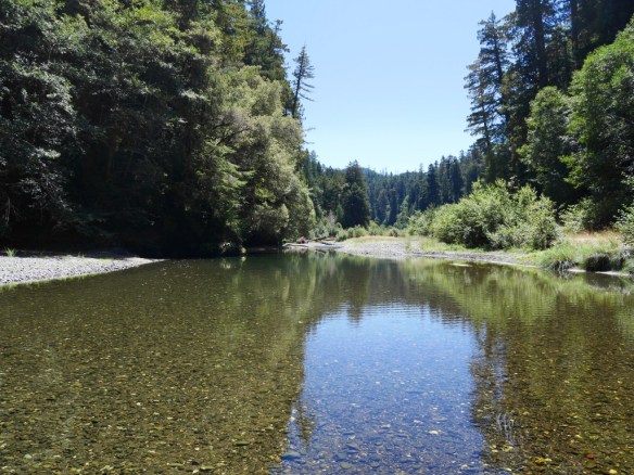 The wide gravel channel of Redwood Creek, Redwood National Park
