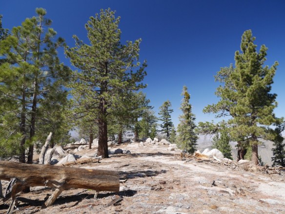 View of Winston Ridge from my hike on Thursday--the last day before becoming part of the San Gabriel Mountains National Monument.