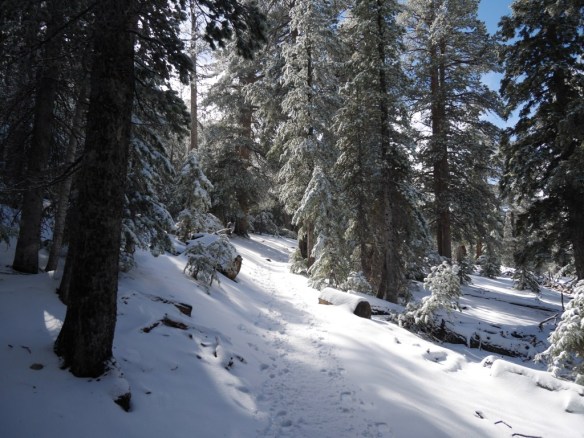 One of the few flatter areas of this section of the PCT provides a good place to make gear changes.