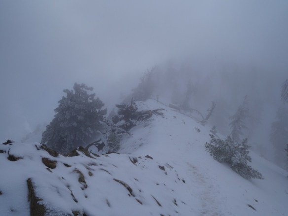 Heavy mist from the clouds makes the Wally Waldron Tree and Mt. Baden-Powell barely discernible.