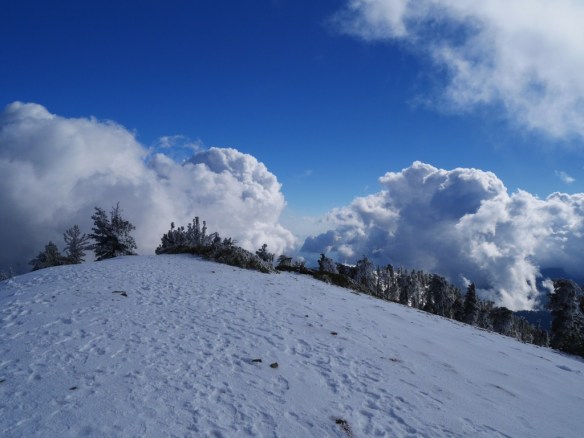 View looking south from Mt. Baden-Powell.