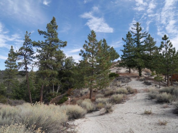 Silver Moccasin Trail facing up the ridge before heading down the trail. Note: trail sign in lower left of the photo.