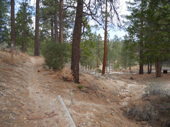First view of the Chilao picnic area. The trail continues left. Note trail sign in middle left of photo.