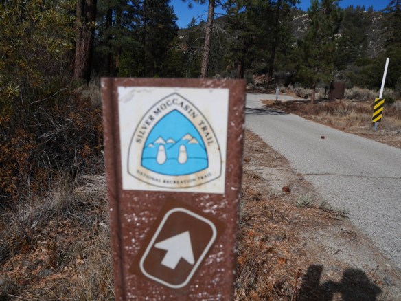 View from the end of this segment toward the North Chilao parking area for the Silver Moccasin Trail.