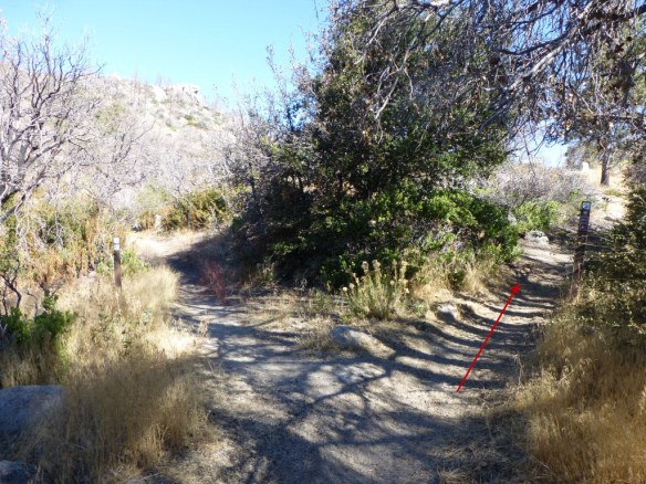 View of junction leading to Three Points parking area.