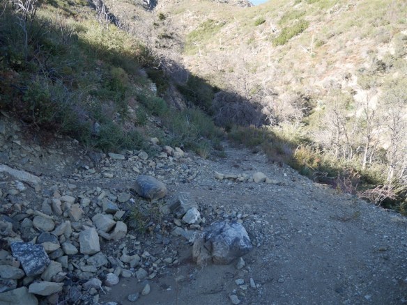 View of junction as seen heading up the trail from Red Box.