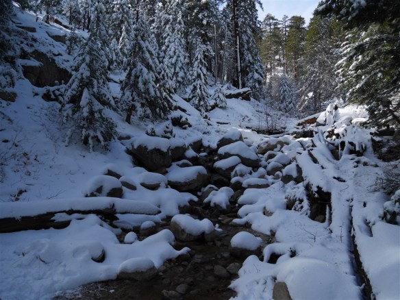 Seasonal stream along the Mt. Waterman Trail.