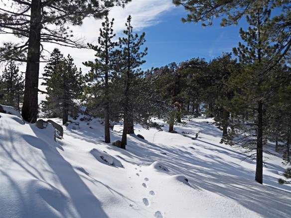 View toward Mt. Waterman from the last saddle area before the summit.