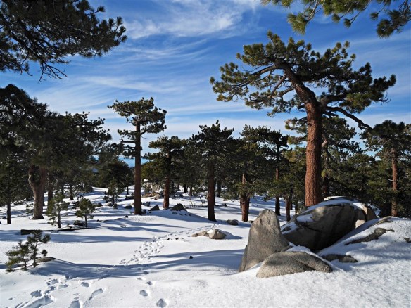 View looking west on Mt. Waterman.