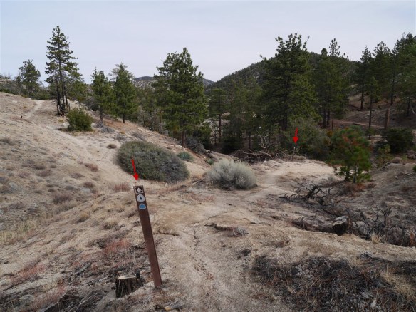 Use Trail crossing as seen coming up from mile marker 54.10