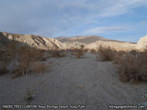 The opening of Smoke Trees Canyon as it transitions from canyon to wash.