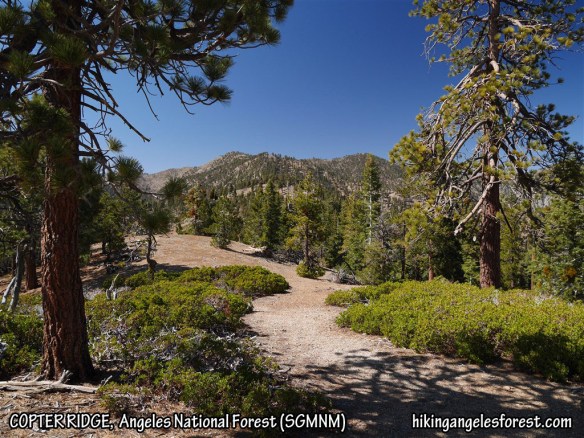 View toward Mt. Hawkins (L) and Throop Peak (R) from Copter Ridge