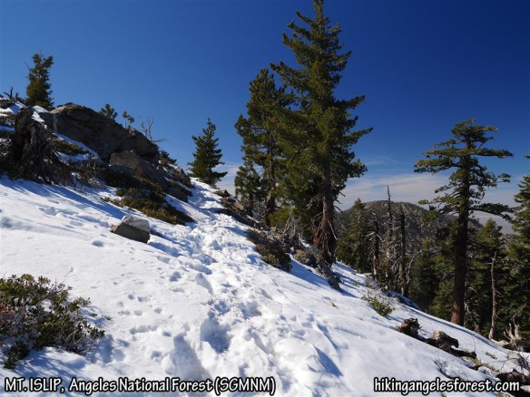 View just below Mt. Islip facing Mt. Williamson.
