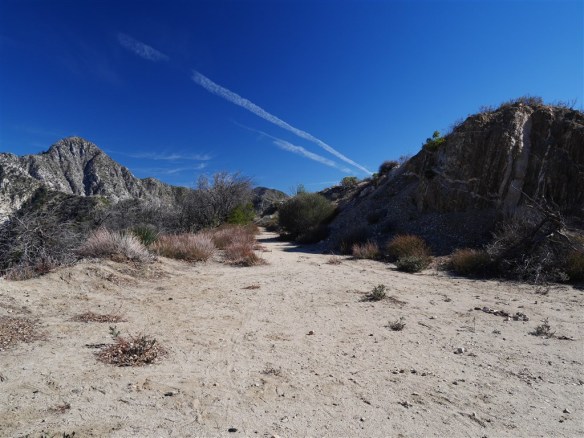 View of Josephine Saddle Trail from the junction with Upper Josephine Peak Road 