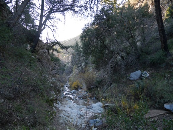 Lower portion of the South Colby Canyon Trail. Water is seasonal.