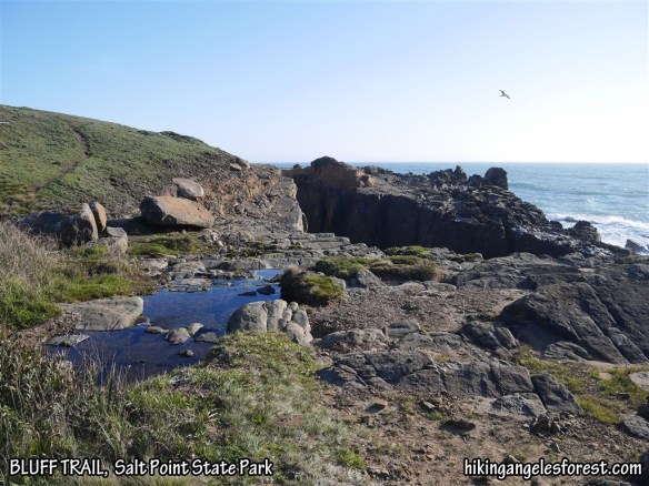 Bluff Trail, Salt Point State Park.