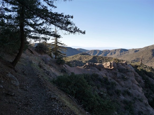 My favorite Angeles National Forest hike this month (#21) was the Manzanita Trail between South Fork and Vincent Gap.