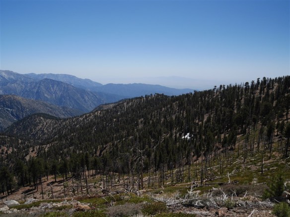 View toward Copter Ridge from the Pacific Crest Trail.