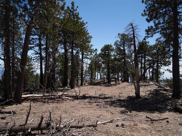 One of several flat areas of Copter Ridge.