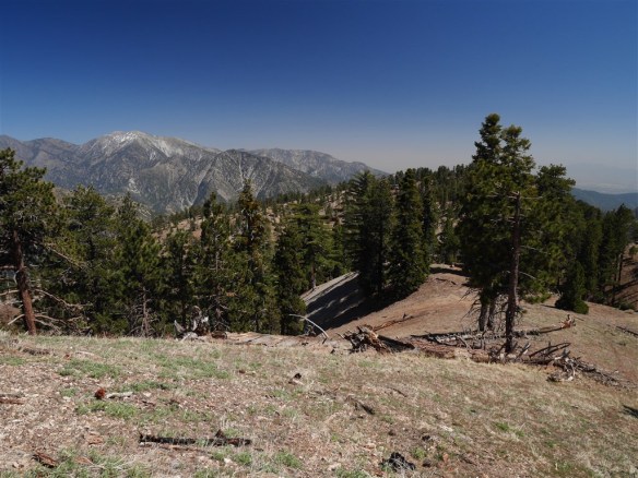 View toward Mt. Baldy and the last significant bump on Copter Ridge.