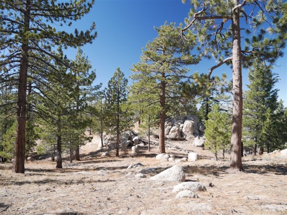 One of my favorite views from one of the hilly areas off trail near Winston Peak.