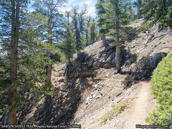 View from the Dawson Saddle Trail along the north face of Throop Peak.