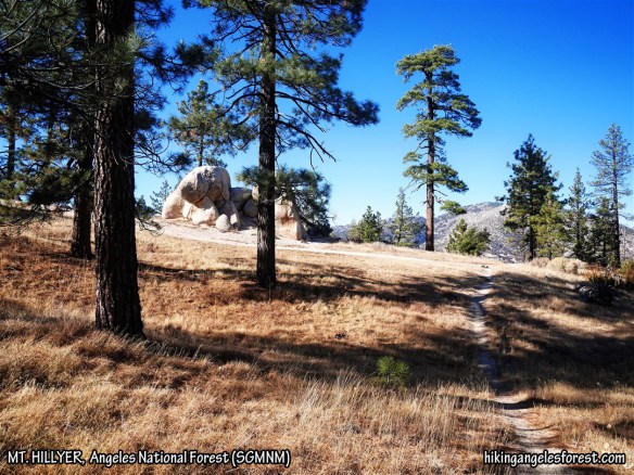 View from the junction of the Mt. Hillyer North Hiker's Trail and the Mt. Hillyer Trail near the peak.