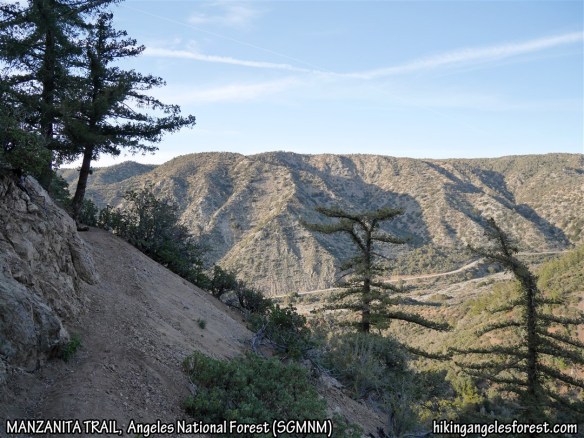 Manzanita Trail between Vincent Gap and South Fork.