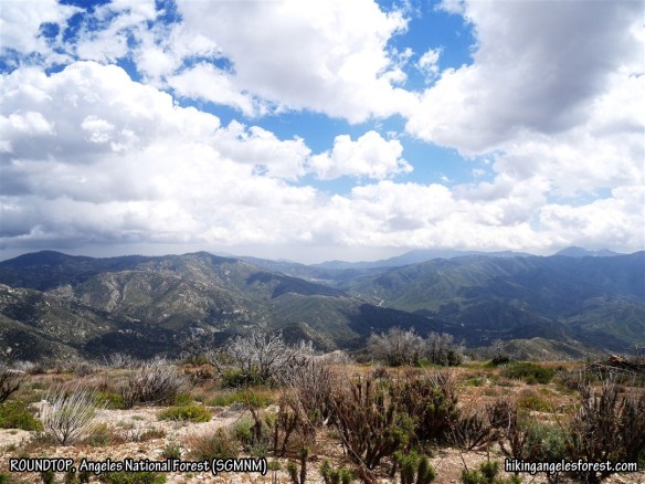 View from Roundtop