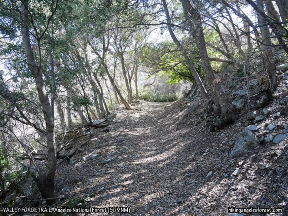 Valley Forge Trail