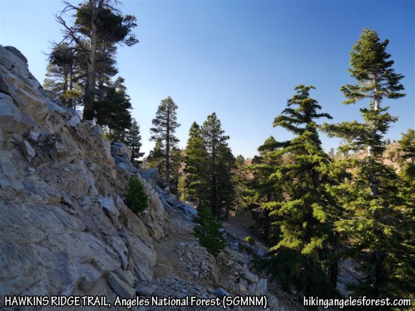 View from the Hawkins Ridge Trail between South Mt. Hawkins and Middle Mt. Hawkins.
