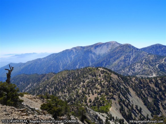View toward Mt. Baldy from Telegraph Peak.