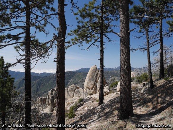 Mt. Waterman Trail between Three Points and the JCT with Twin Peaks.