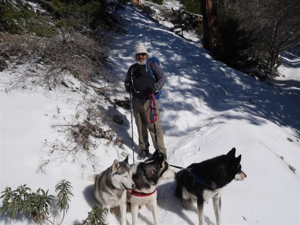 Starting downhill with the hiker's three dogs.