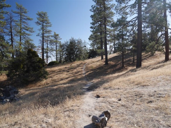 Trailhead view at Mt. Hillyer.