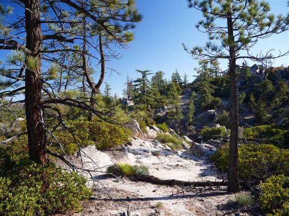 Mt. Hillyer North Hiker's Trail (11-25-2016)